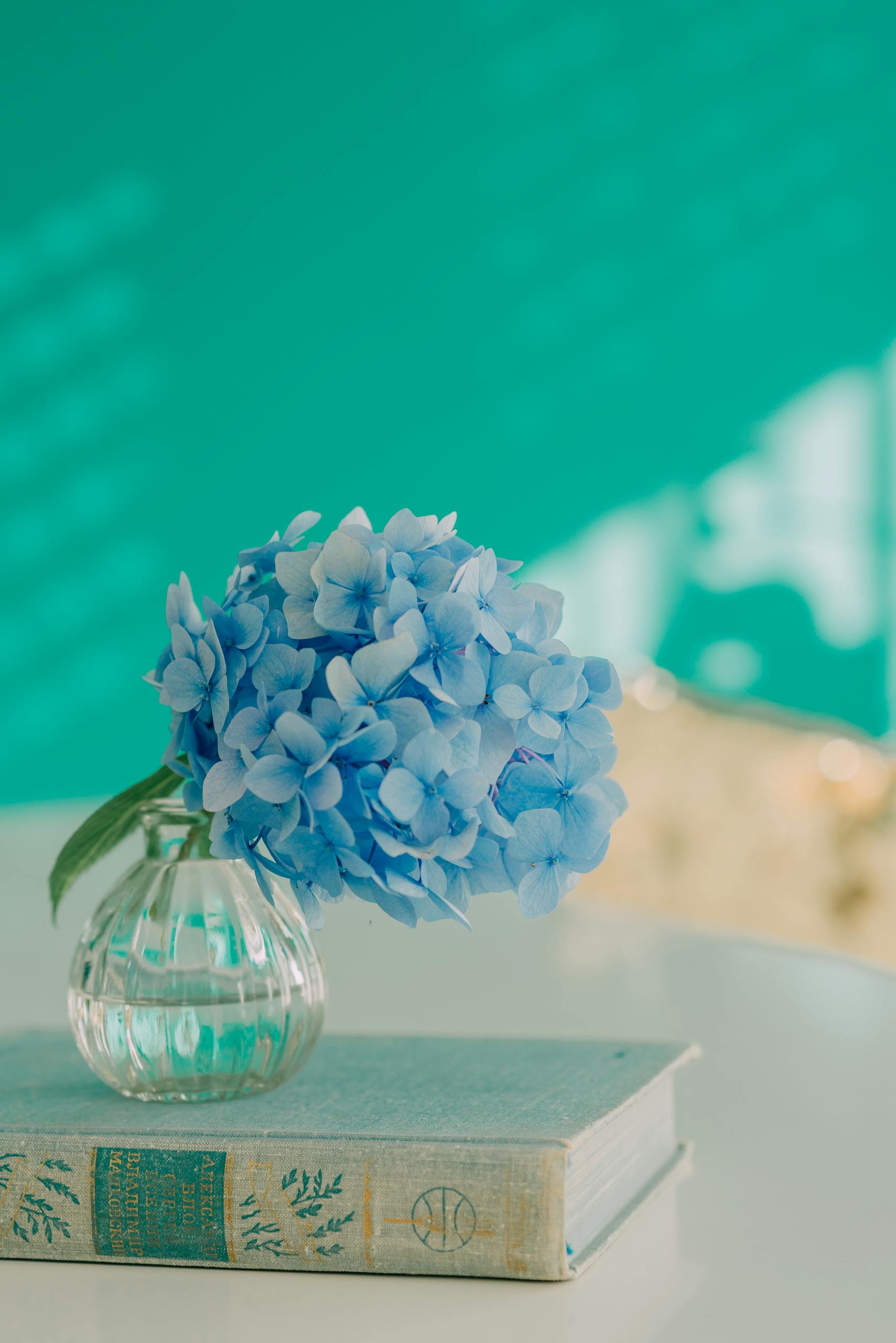 A tranquil scene with blue hydrangeas in a vase on a vintage book against a teal background.