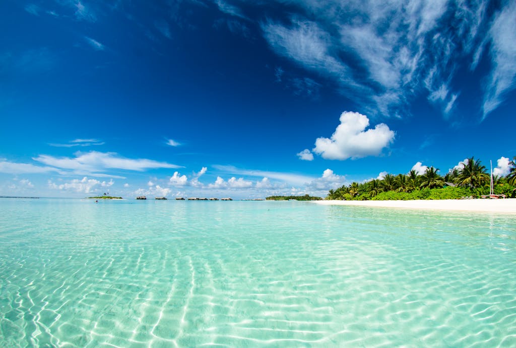 Stunning tropical beach scene in the Maldives with clear waters and blue sky, perfect for a paradise getaway.